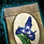 Archivo:Morral de semillas de iris ascaloniano real.png