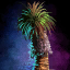 Palmera de abrigo en tiesto.png