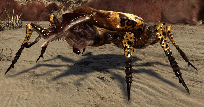 Archivo:Escarabajo gigante moteado.jpg