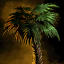 Palmera.png