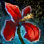 Archivo:Flor de iris rojo bien conservada.png