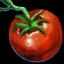 Archivo:Tomate.png