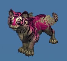 Minicachorro de tigris rosa.jpg
