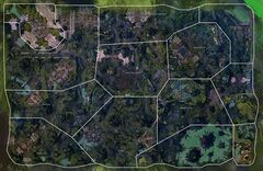 Las Selvas de Echovald mapa.jpg