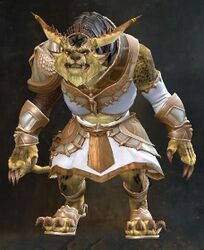 Armadura santificada charr masculino frente.jpg