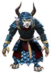 Armadura bandeada charr femenino frente.jpg