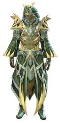 Armadura emplumada sylvari masculino frente.jpg