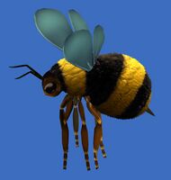 Miniabeja de Janthir.jpg