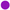 Purple Dot.png