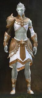 Armadura santificada sylvari masculino frente.jpg