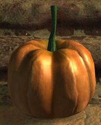 Calabaza.jpg