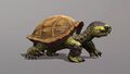 Bebé tortuga de combate; ver este enlace para la animación completa.