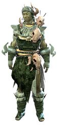 Armadura primitiva sylvari masculino frente.jpg