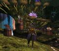 Variante Sylvari