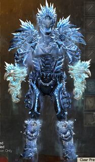 Armadura de saqueador del hielo norn masculino frente.jpg