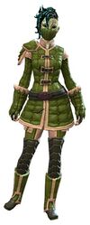 Armadura tachonada sylvari femenino frente.jpg