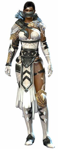 Archivo:Wolf armor norn female front.jpg