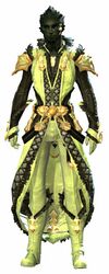 Armadura exaltada sylvari masculino frente.jpg