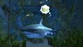 Tiburón en Amnoon.jpg